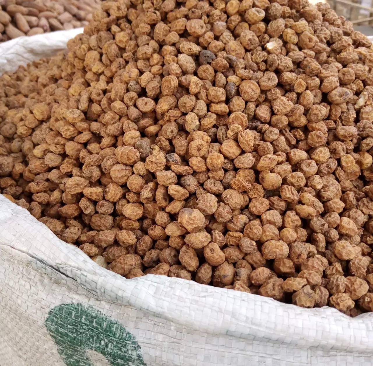 Tiger Nut