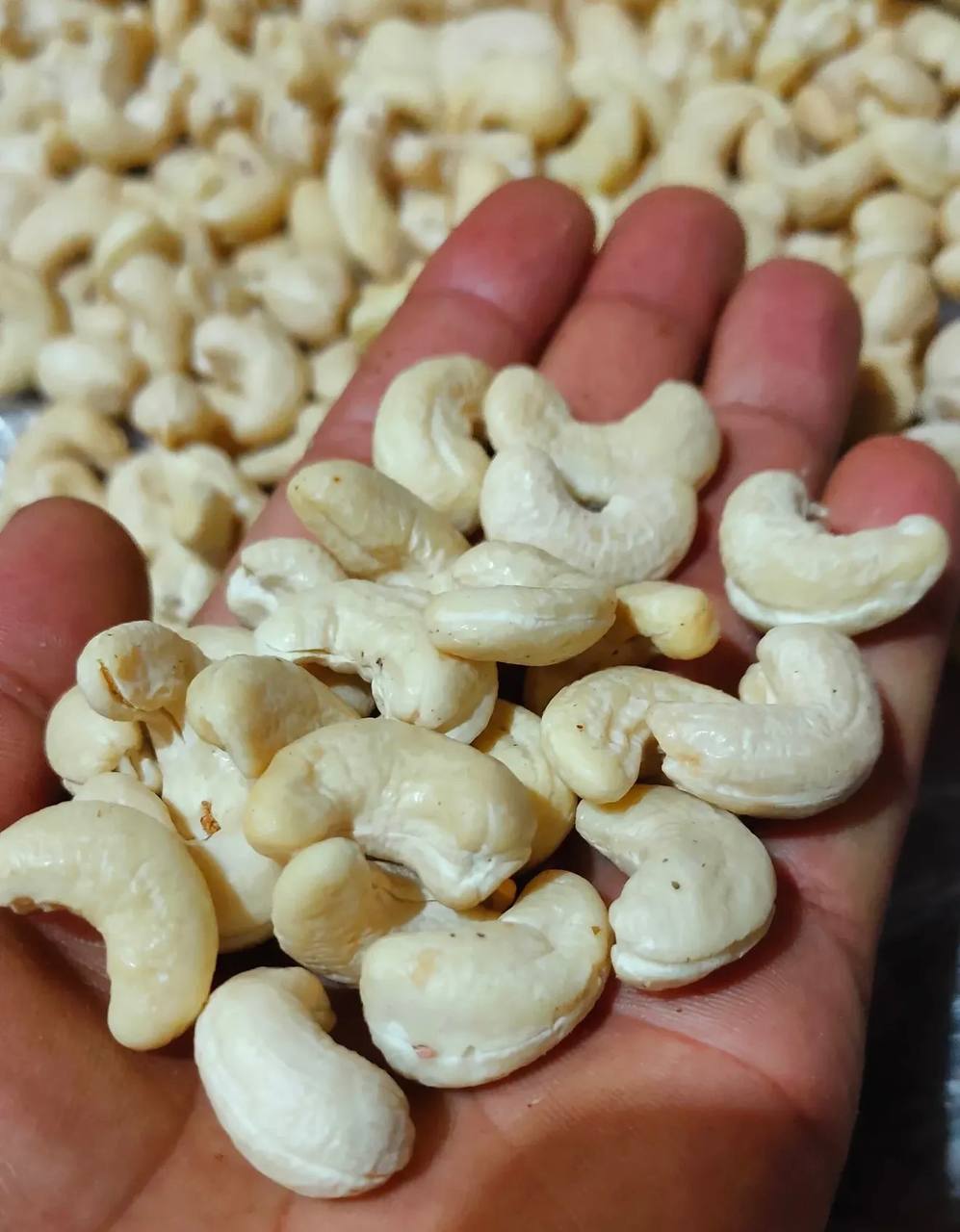 Natural Raw Cashew