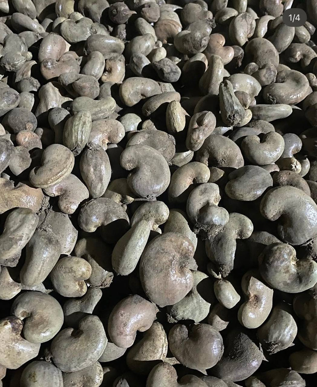 Natural Raw Cashew