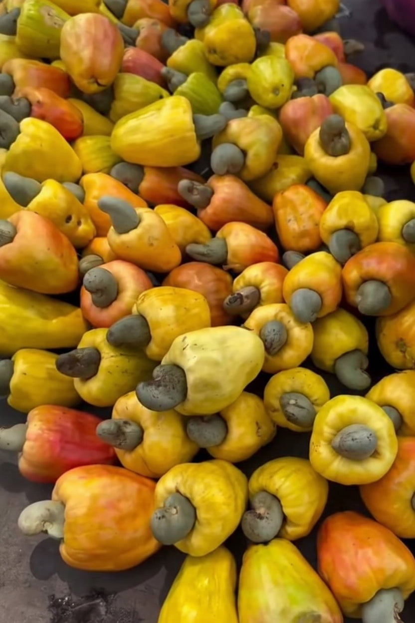 Natural Raw Cashew