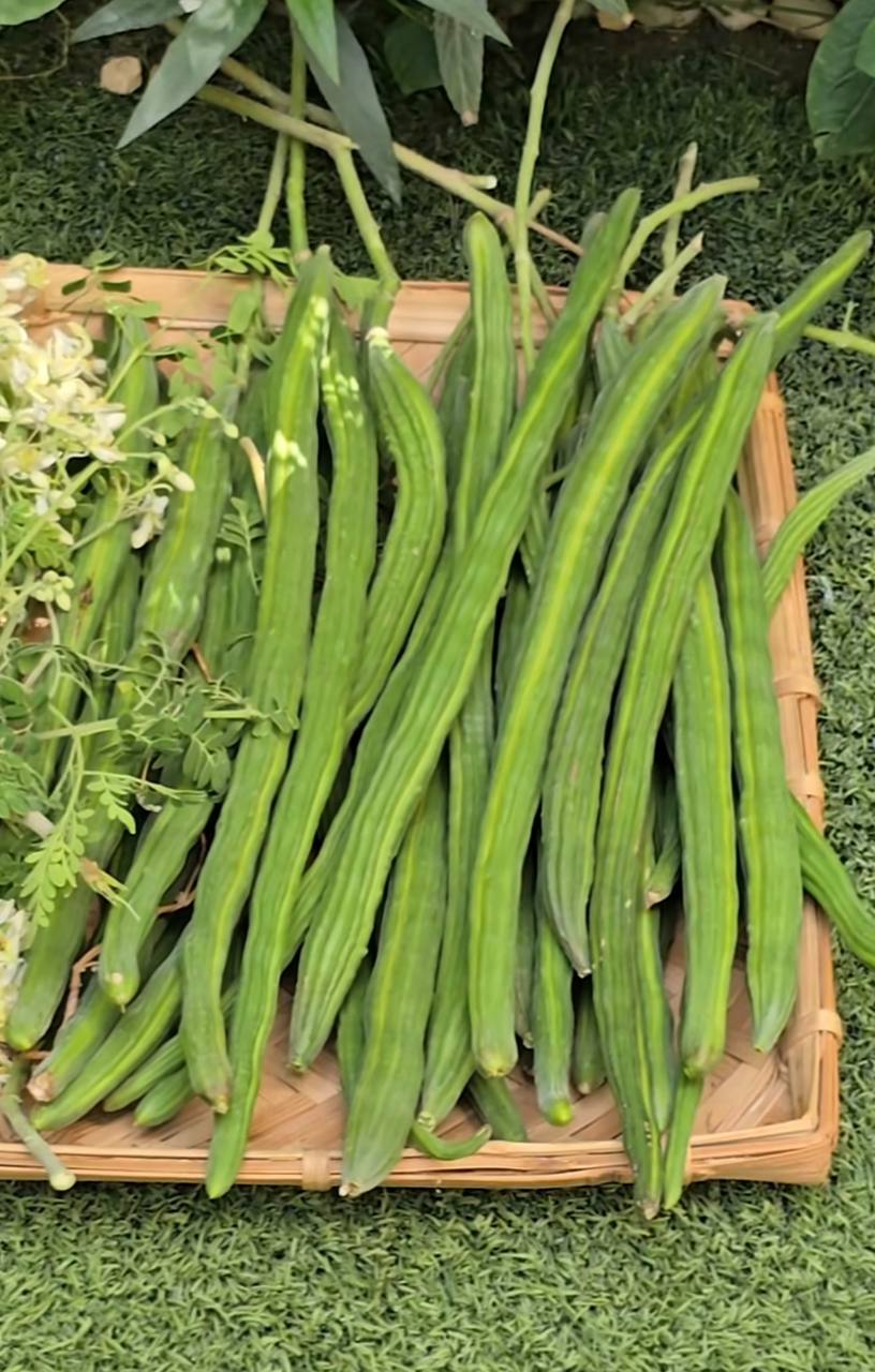 Natural Moringa Health Powder