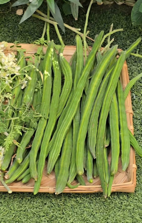 Natural Moringa Health Powder