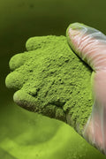 Natural Moringa Health Powder