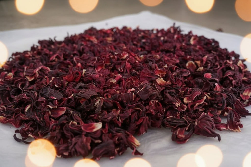 Hibiscus Flower
