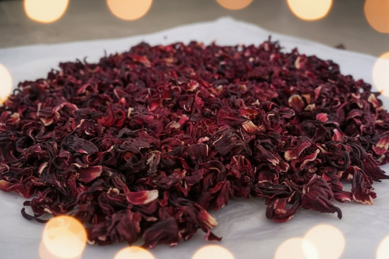 Hibiscus Flower