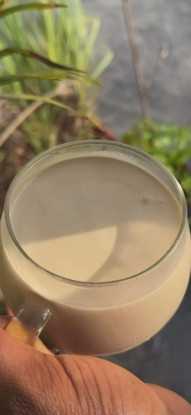 Tiger Nut
